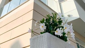 Ein modernes Gebäude mit einem Glasbalkon und einem Blumentopf mit weißen Blüten.