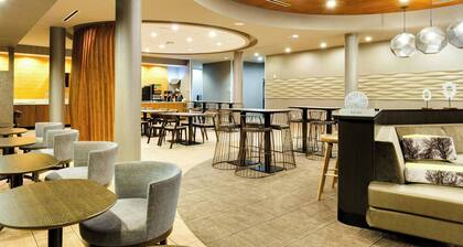 SpringHill Suites by Marriott McAllen Convention Center