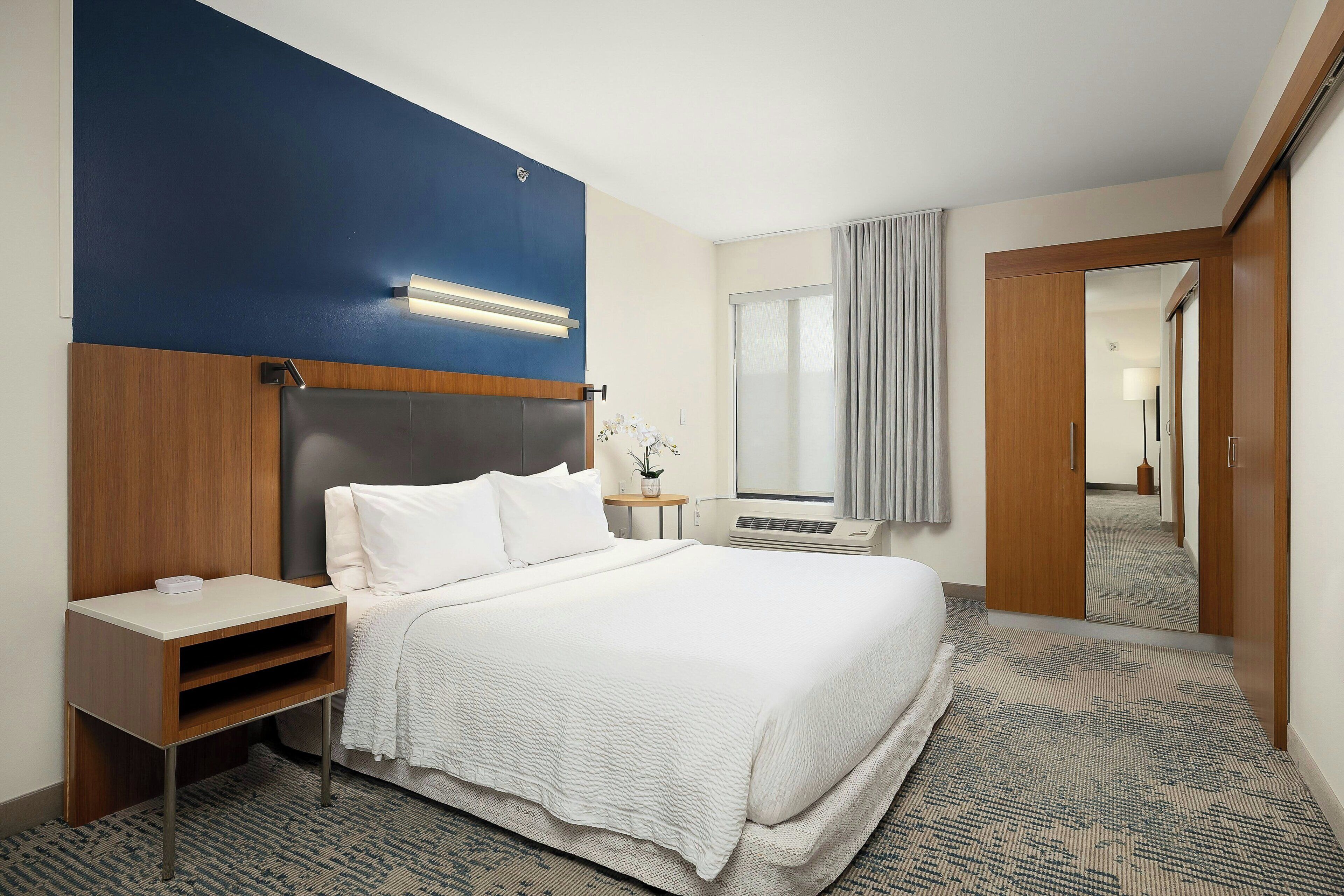 Suite, 1 King Bed with Sofa bed