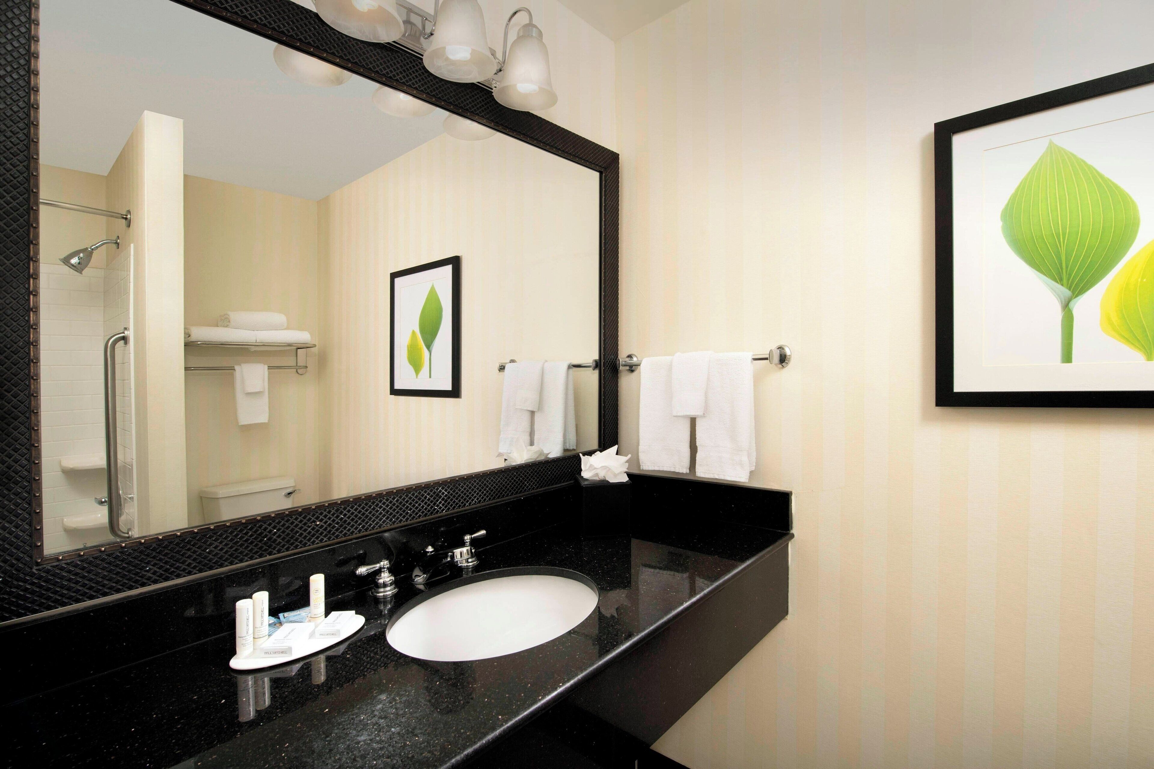 combined shower/bathtub, free toiletries, hair dryer, towels