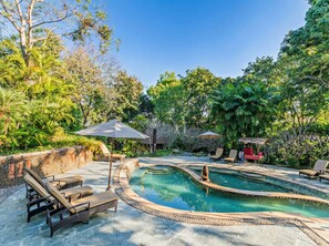 Un área de piscina con sillones de descanso y sombrillas, rodeada de abundante vegetación.