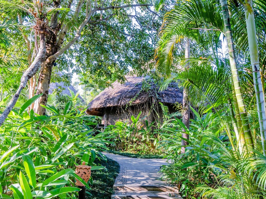 Outdoor wedding area