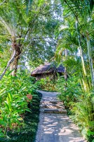 Outdoor wedding area