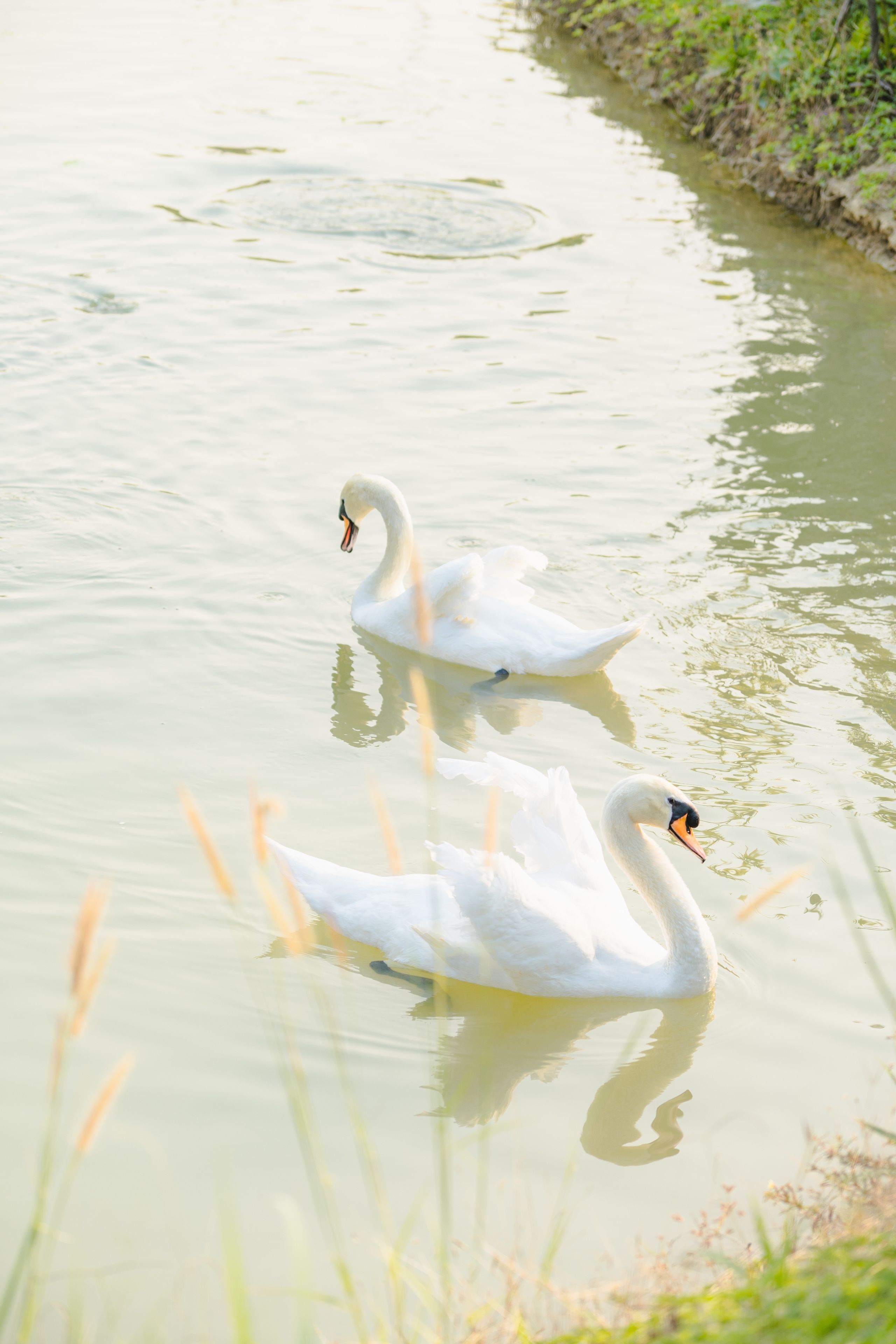 children’s activities