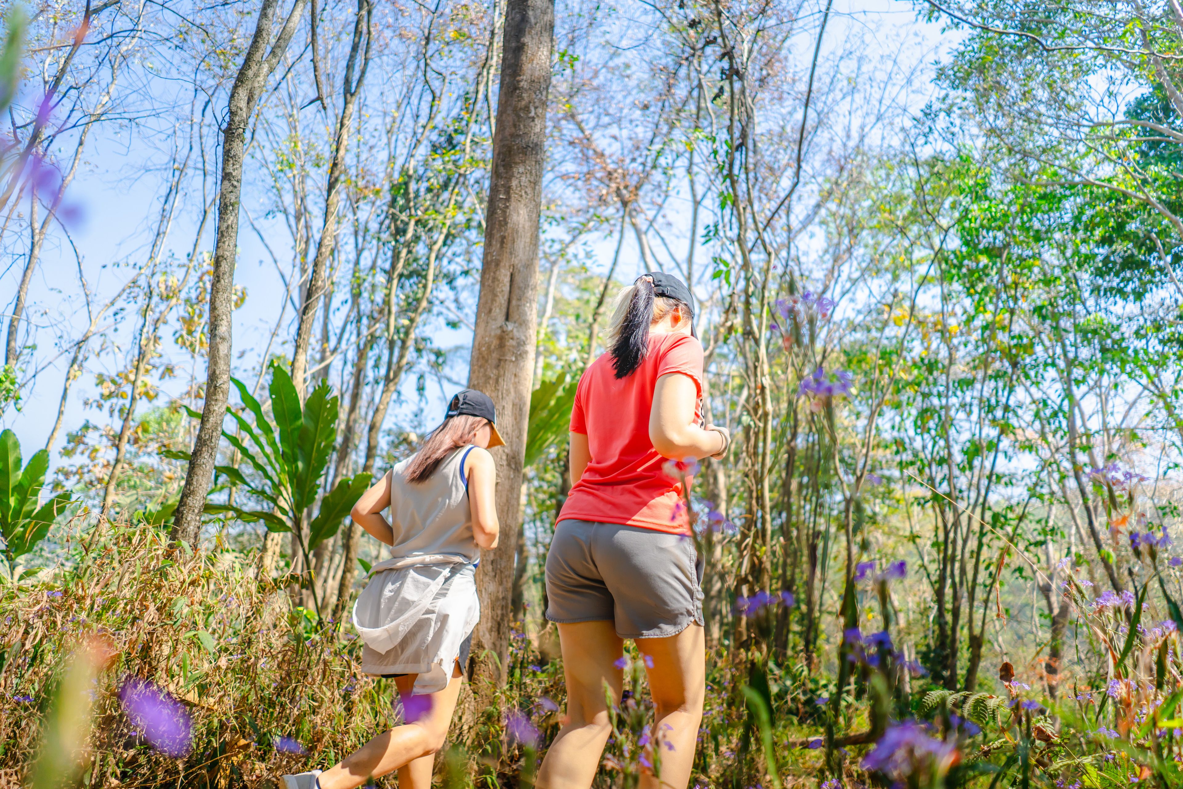 Two people walking through a forested area with trees and purple flowers.