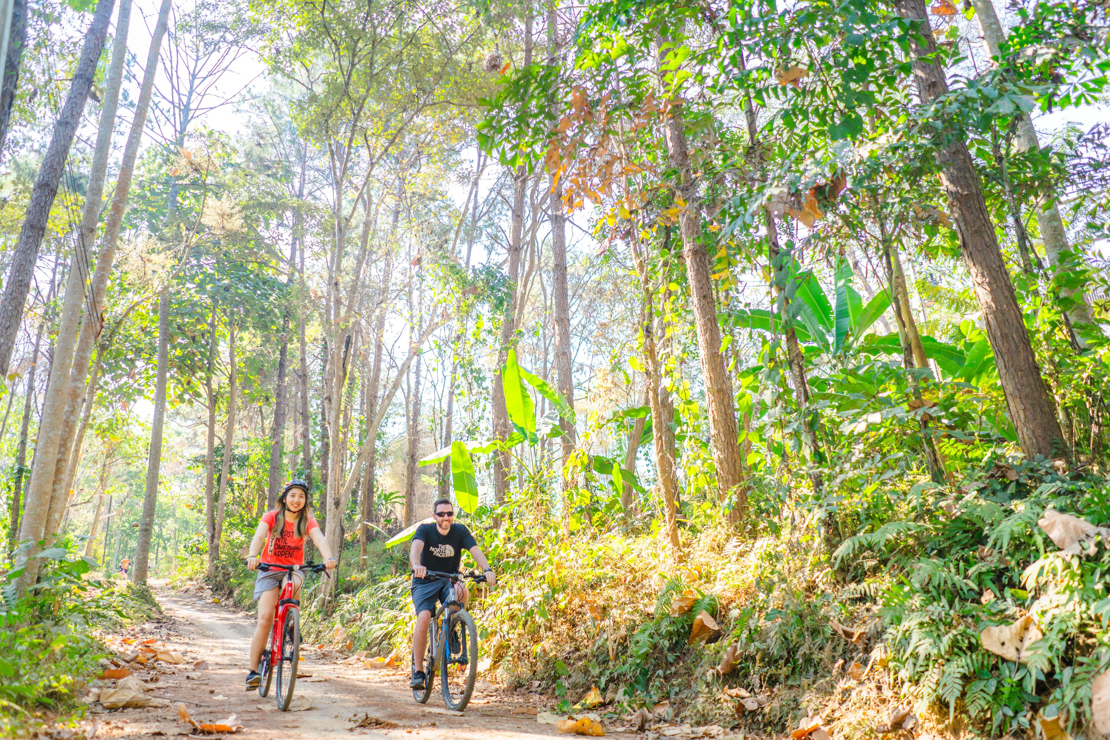 Ein Waldweg mit zwei Radfahrern.