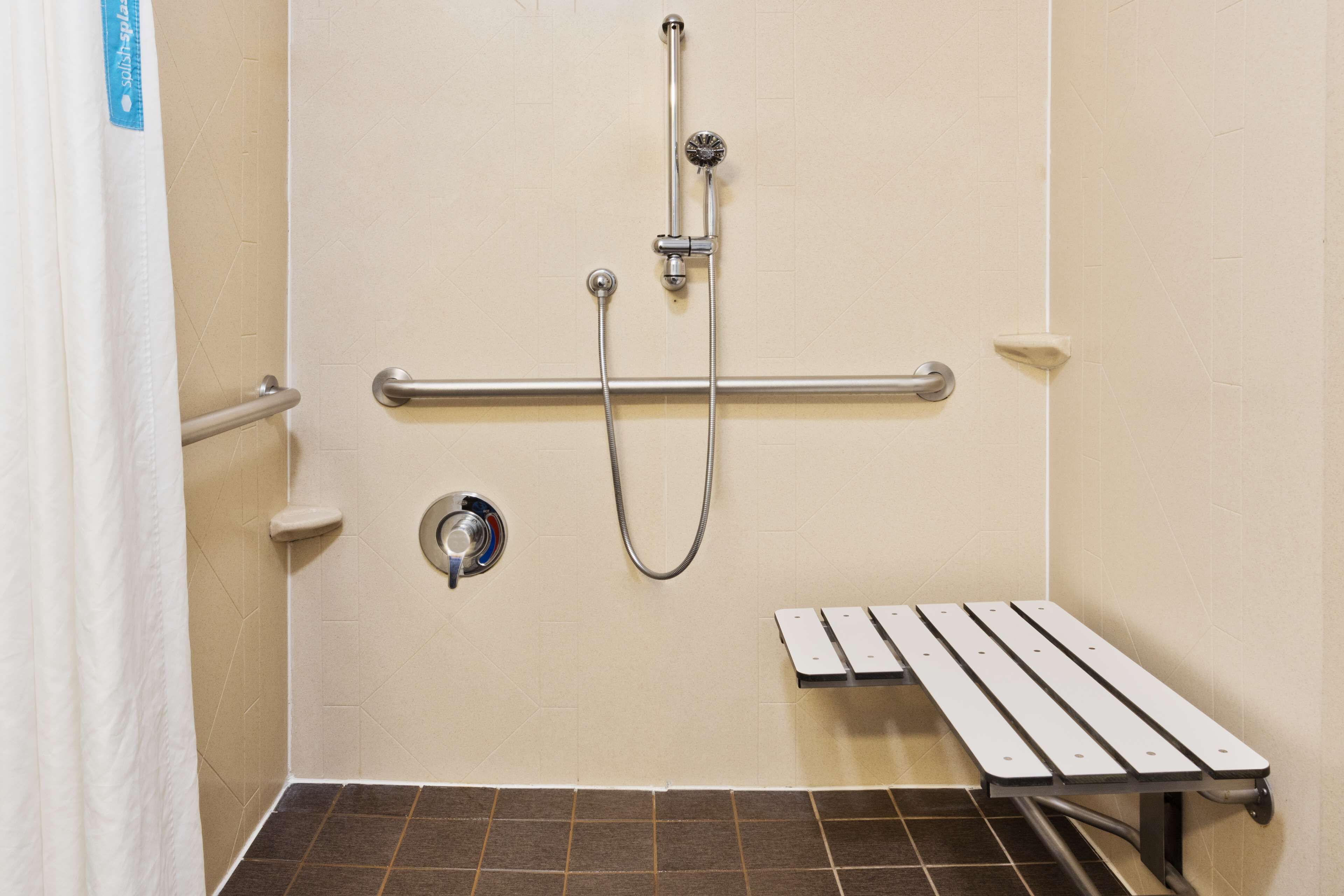 room, 1 king bed, accessible, non smoking | bathroom shower