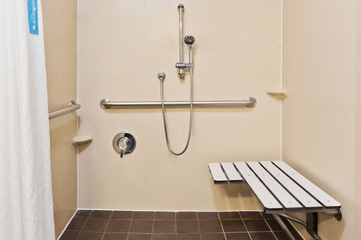 room, 1 king bed, accessible, non smoking | bathroom shower