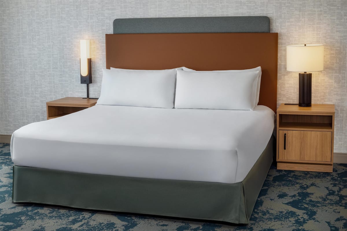 suite, 1 king bed, accessible, non smoking | hypo-allergenic bedding, desk, laptop workspace, blackout curtains