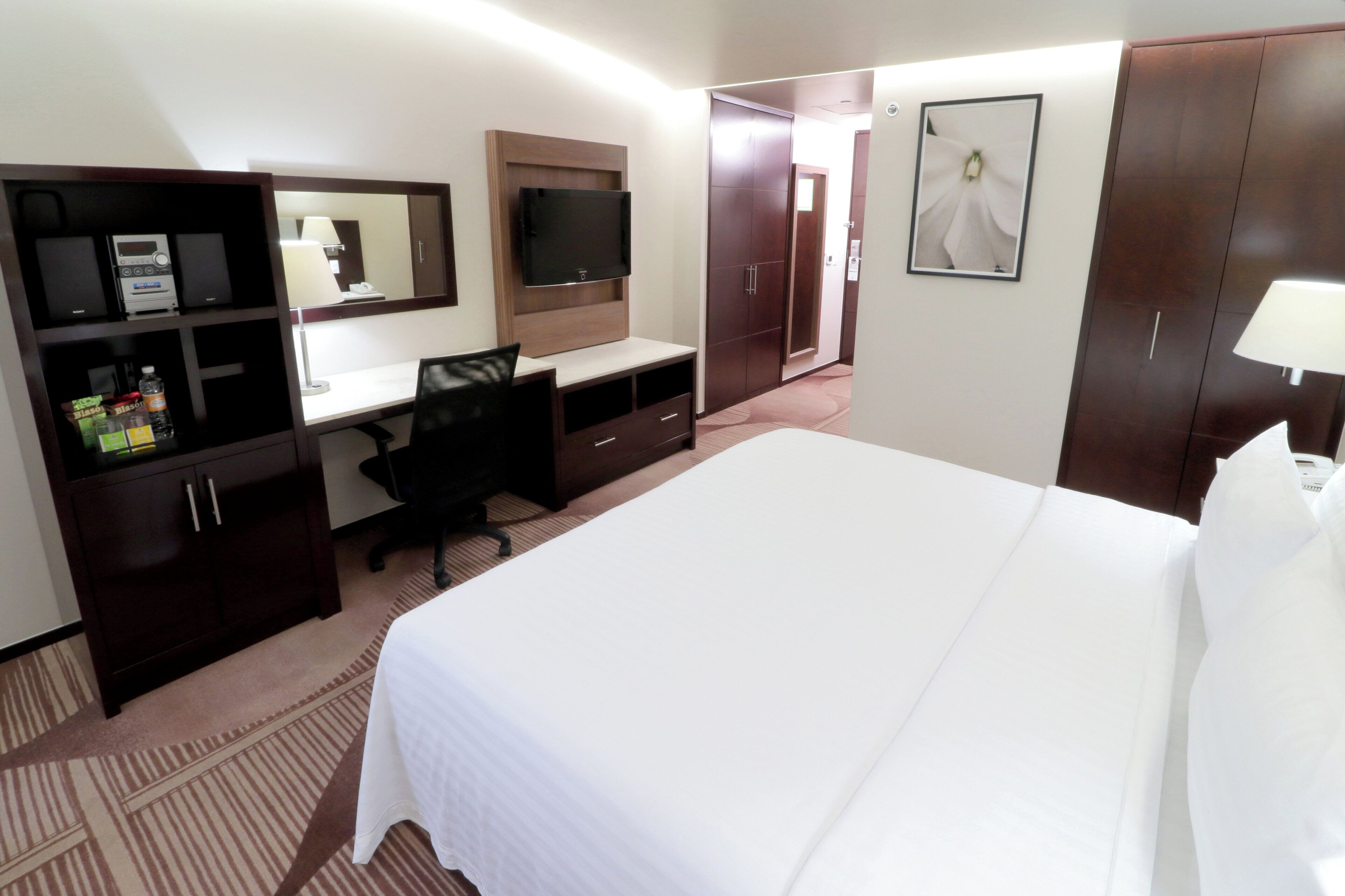 Photo - Holiday Inn Hotel & Suites Medica Sur By Ihg