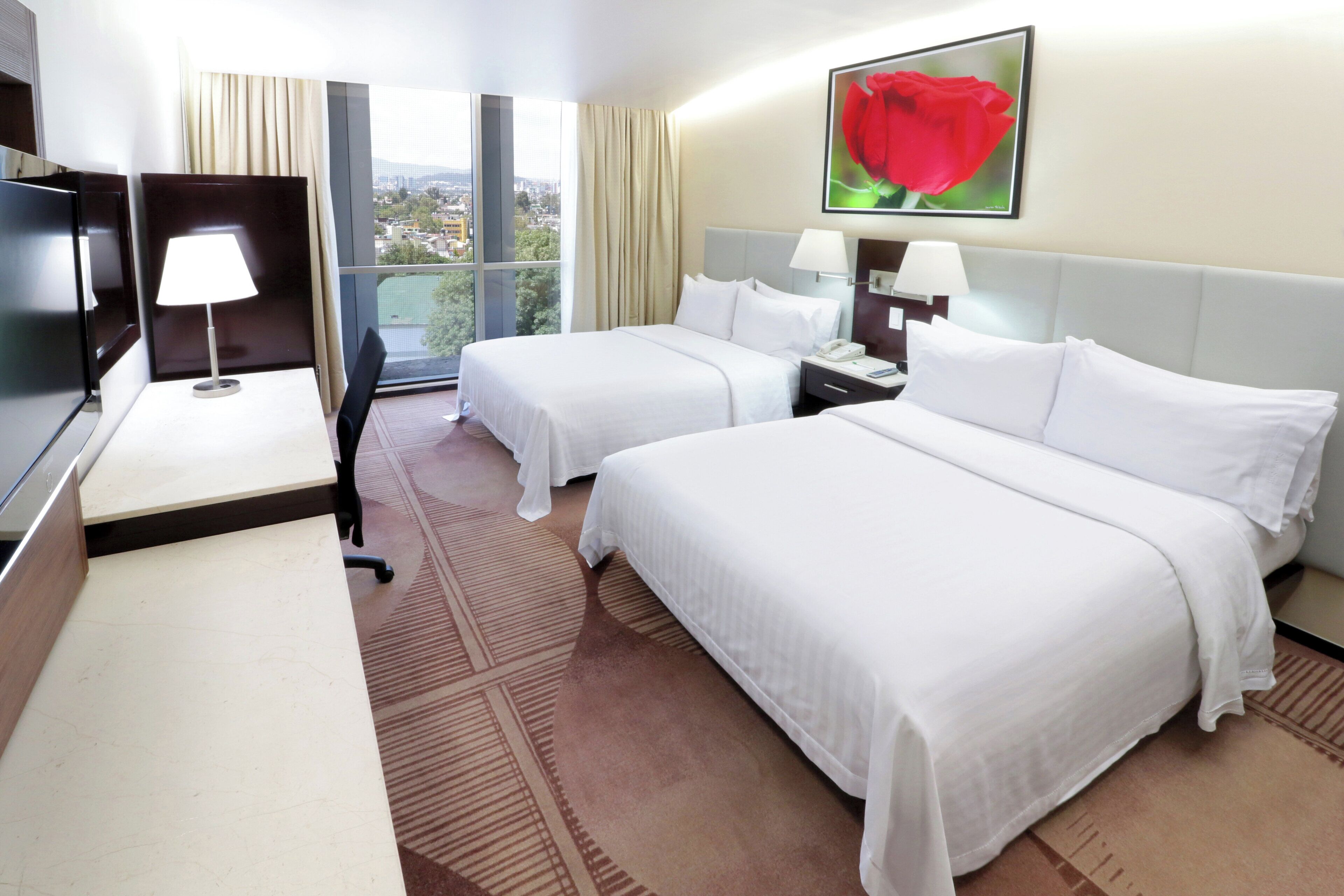 Photo - Holiday Inn Hotel & Suites Medica Sur By Ihg