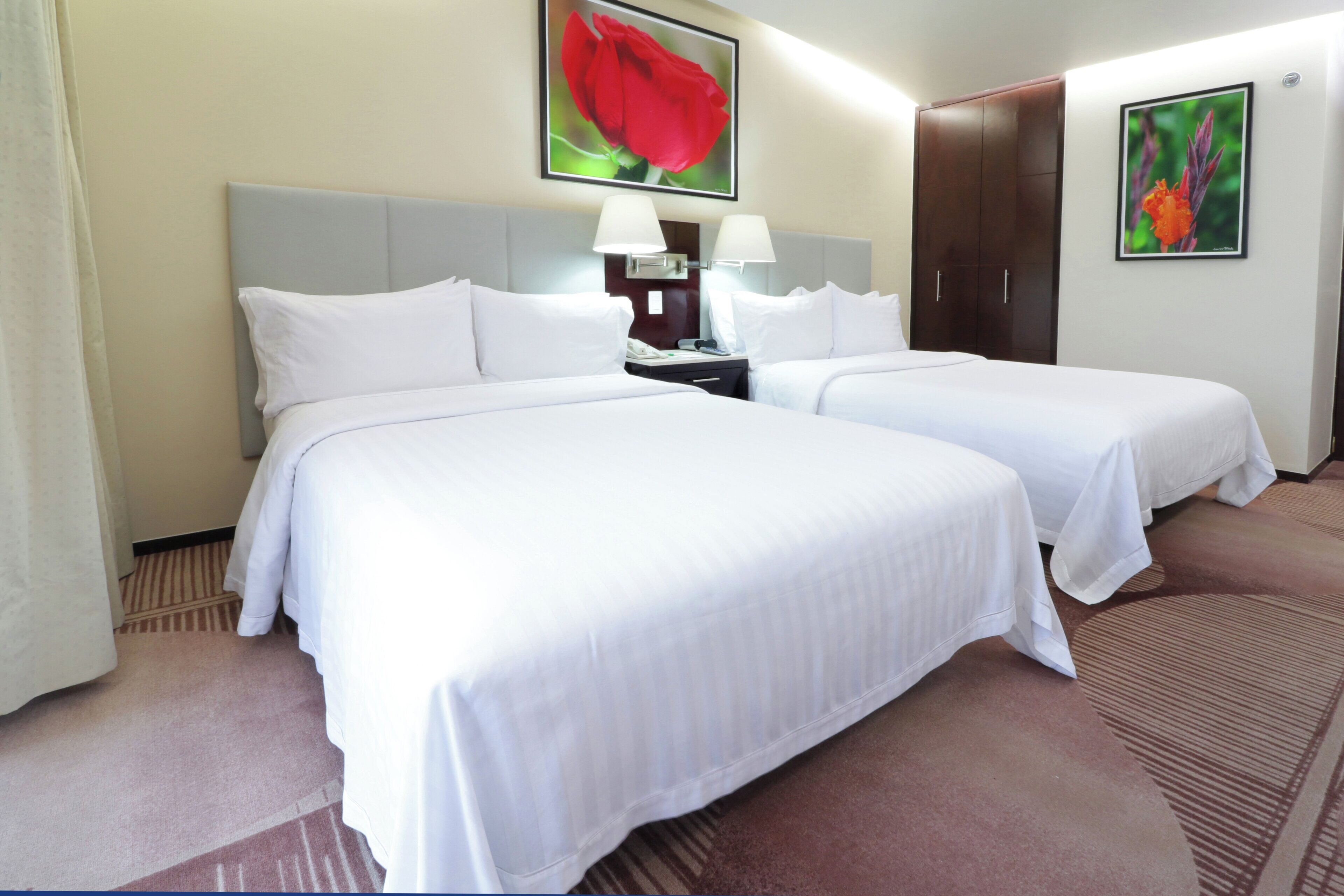 Premium bedding, in-room safe, desk, blackout curtains