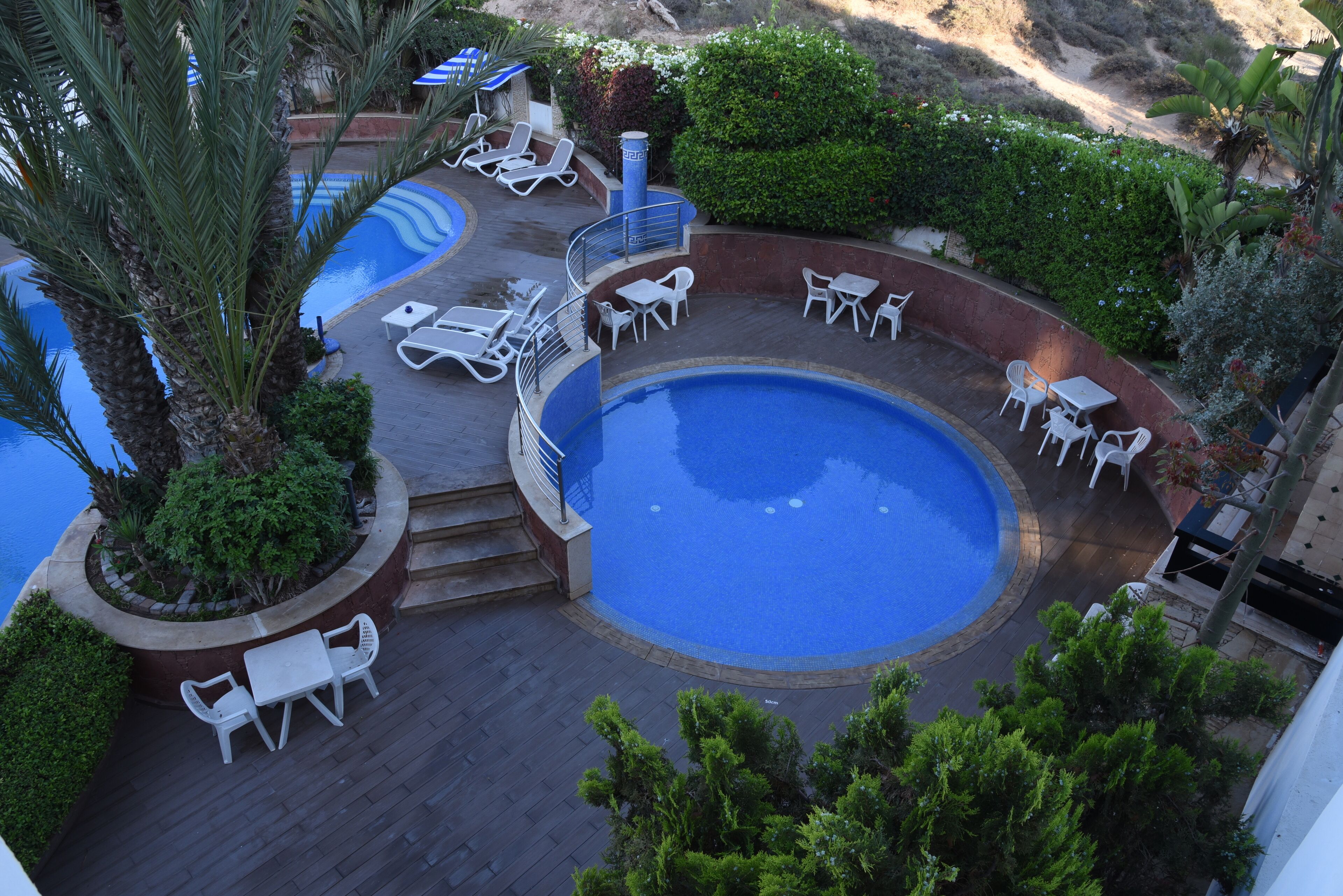 A pool area with lounge chairs and a small table, surrounded by greenery and a palm tree.