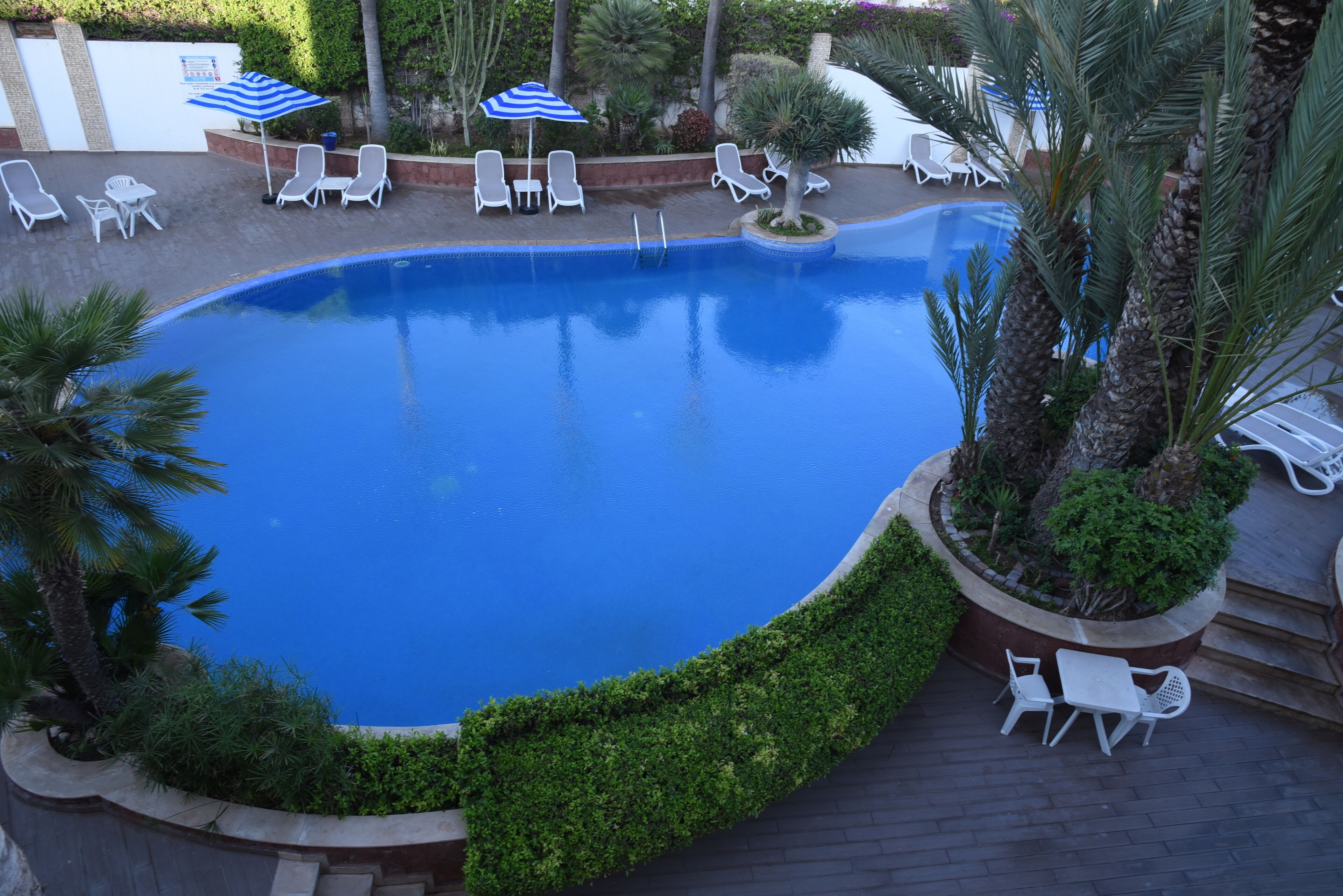 Une piscine entourée de chaises longues blanches et de parasols, avec des palmiers et de la verdure.