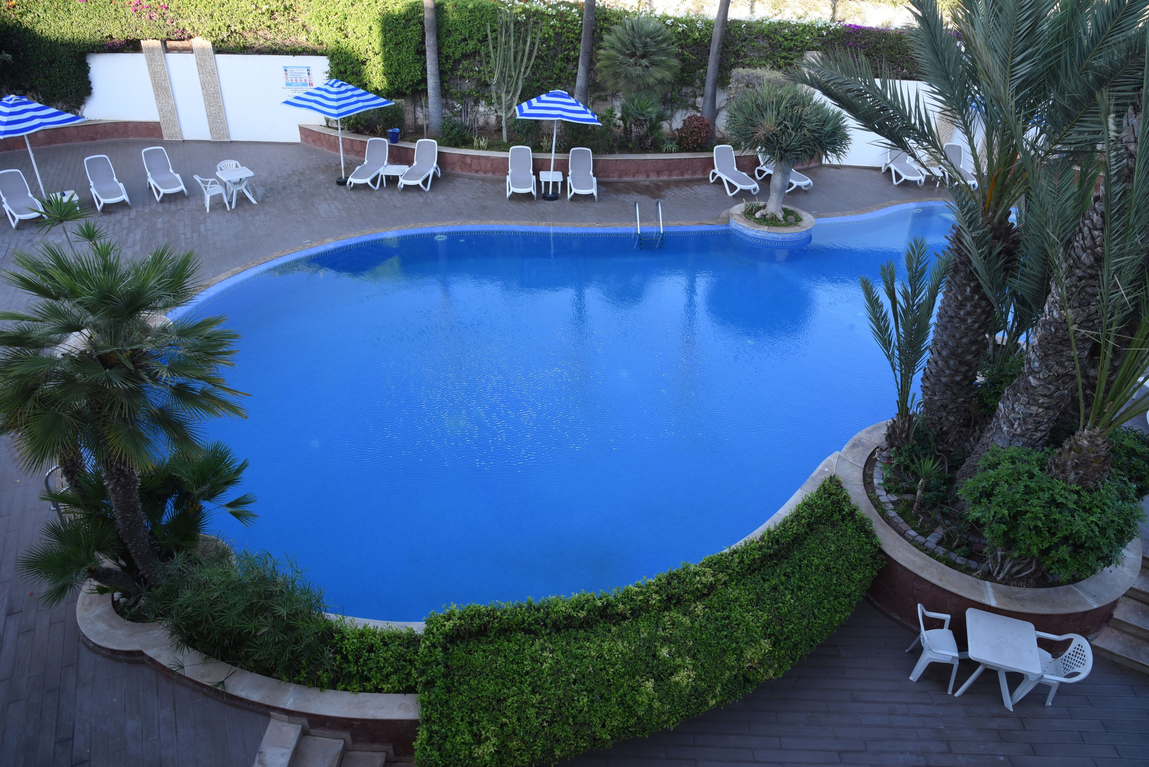 A swimming pool with lounge chairs and umbrellas, surrounded by greenery and palm trees.