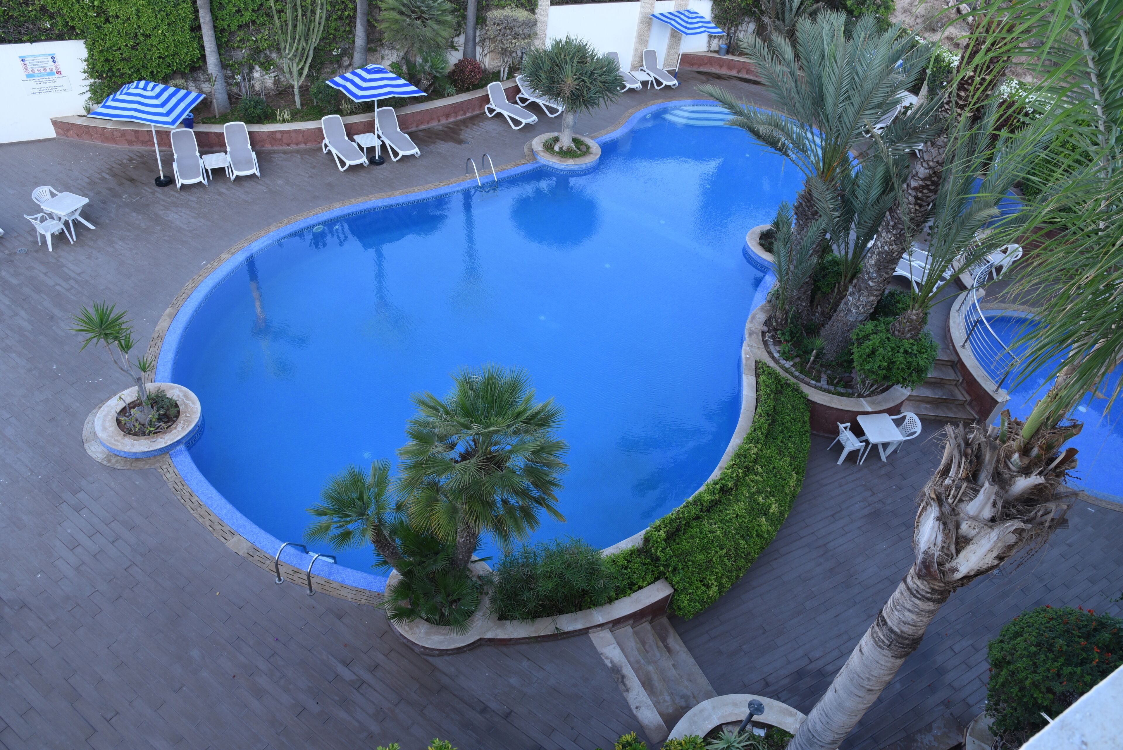 A large, round swimming pool surrounded by palm trees and white lounge chairs.
