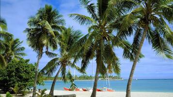 A beach with palm trees and boats.