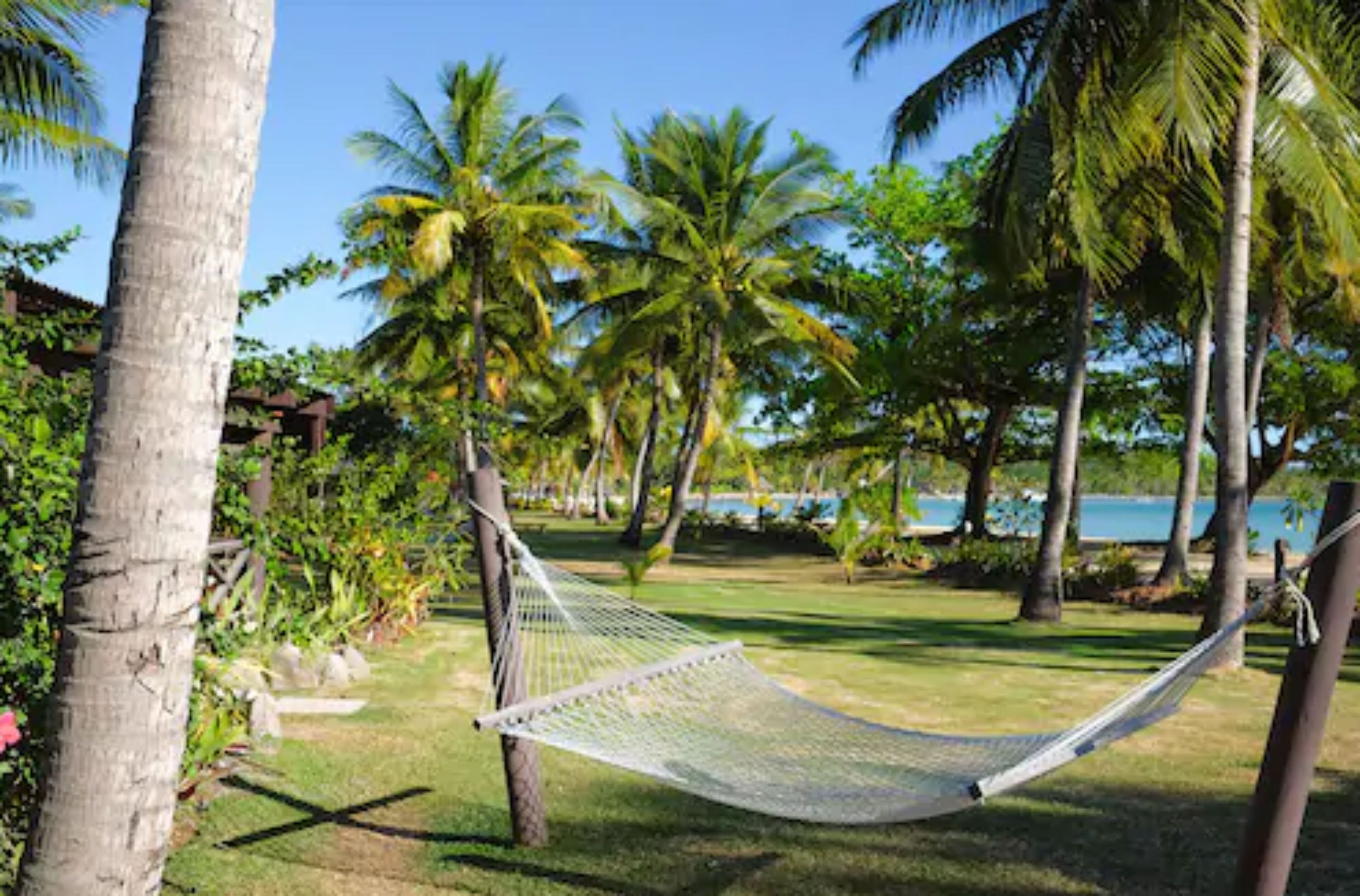 A hammock in a lush garden with palm trees and a view of the sea.