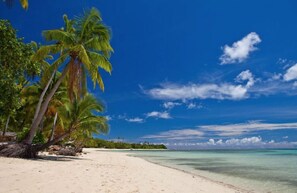 On the beach, white sand, sun-loungers, beach umbrellas - Musket Cove Island Resort & Marina (Malolo Lailai Island)