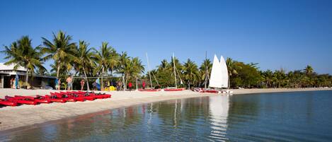 A beach with clear water, red kayaks lined up, and palm trees.