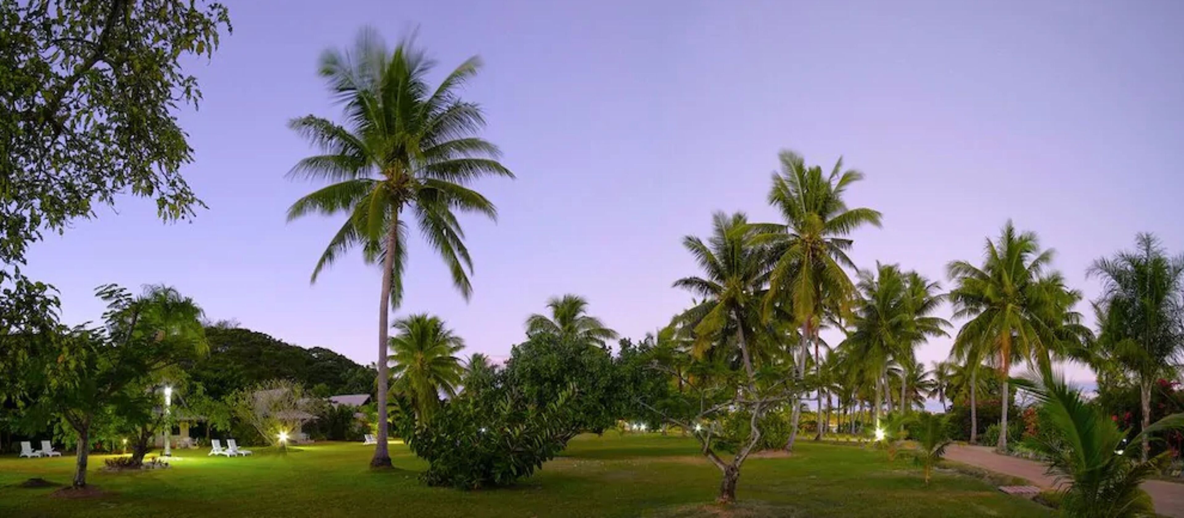 A well-maintained garden with palm trees and a lawn, likely part of a resort or hotel property.