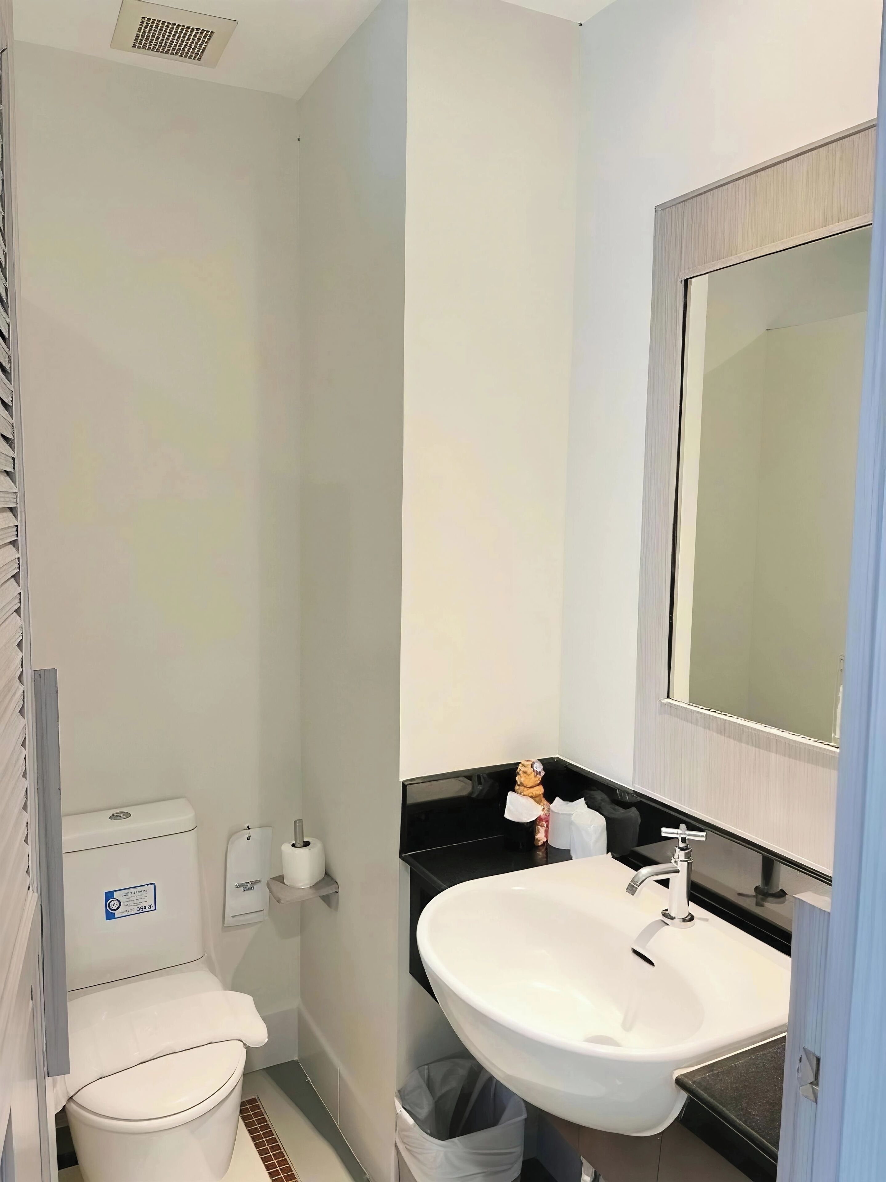 Un bany petit i modern amb un vàter blanc, un lavabo i un mirall.