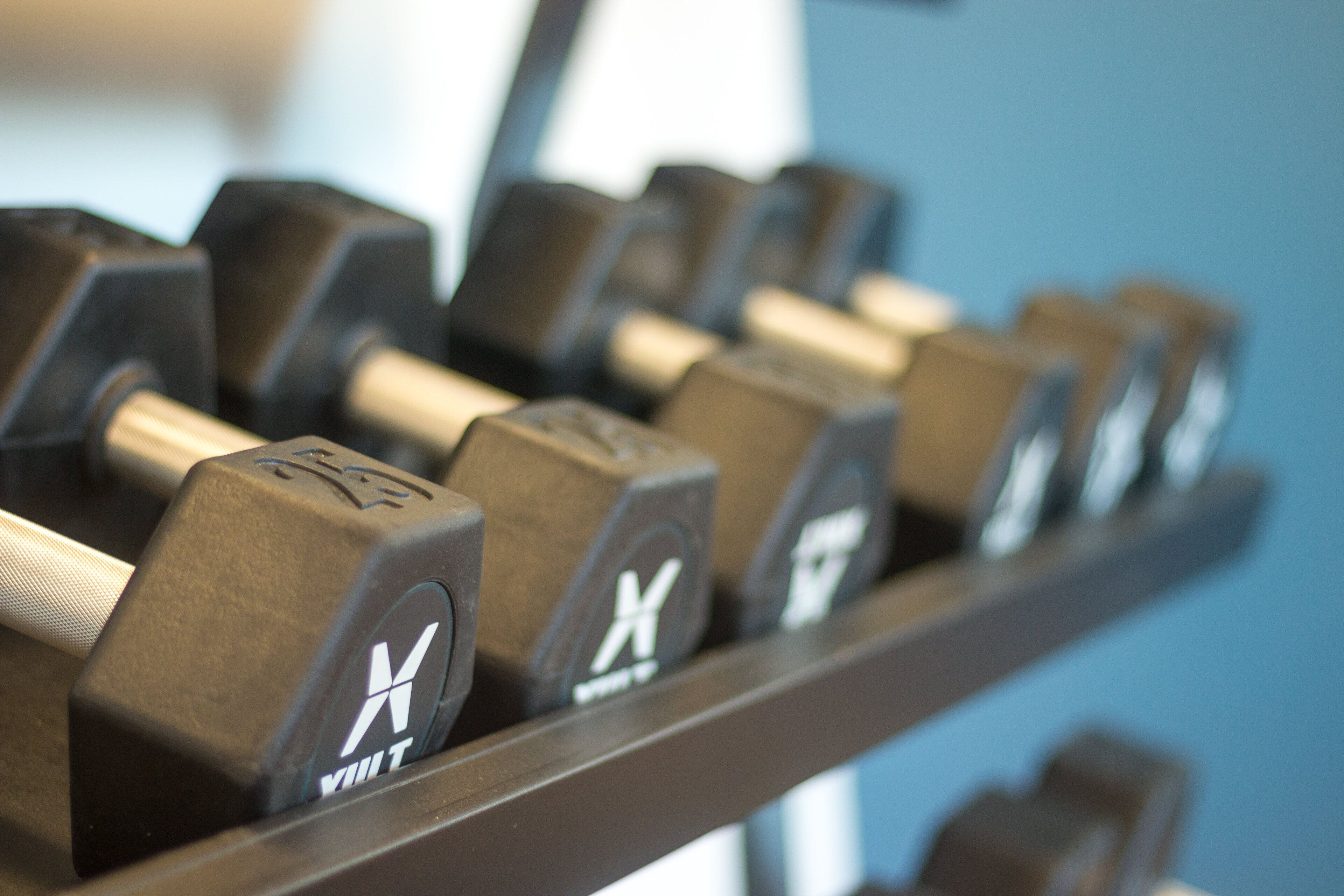 A row of dumbbells on a rack.