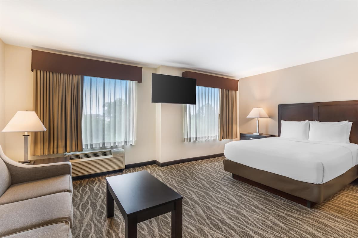 Una habitación de hotel con cama, escritorio, silla, televisor y ventana con cortinas.