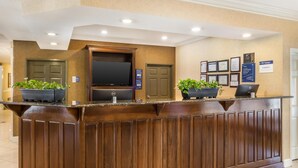 Un mostrador de recepción con un televisor de pantalla plana, dos plantas en macetas y certificados enmarcados en la pared.