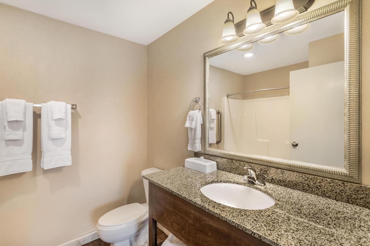 Standard Room, 1 Katil Raja (King), Non Smoking, Refrigerator & Microwave | Bilik Mandi | Pancuran mandi, kelengkapan dandanan diri percuma, pengering rambut