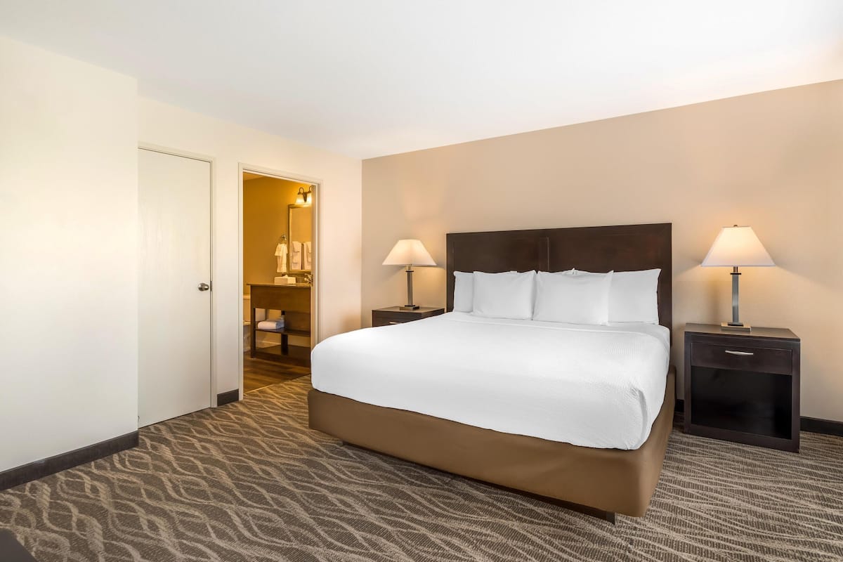 Habitación de hotel con una cama grande, dos mesitas de noche con lámparas, suelo alfombrado y una puerta que da a un baño.