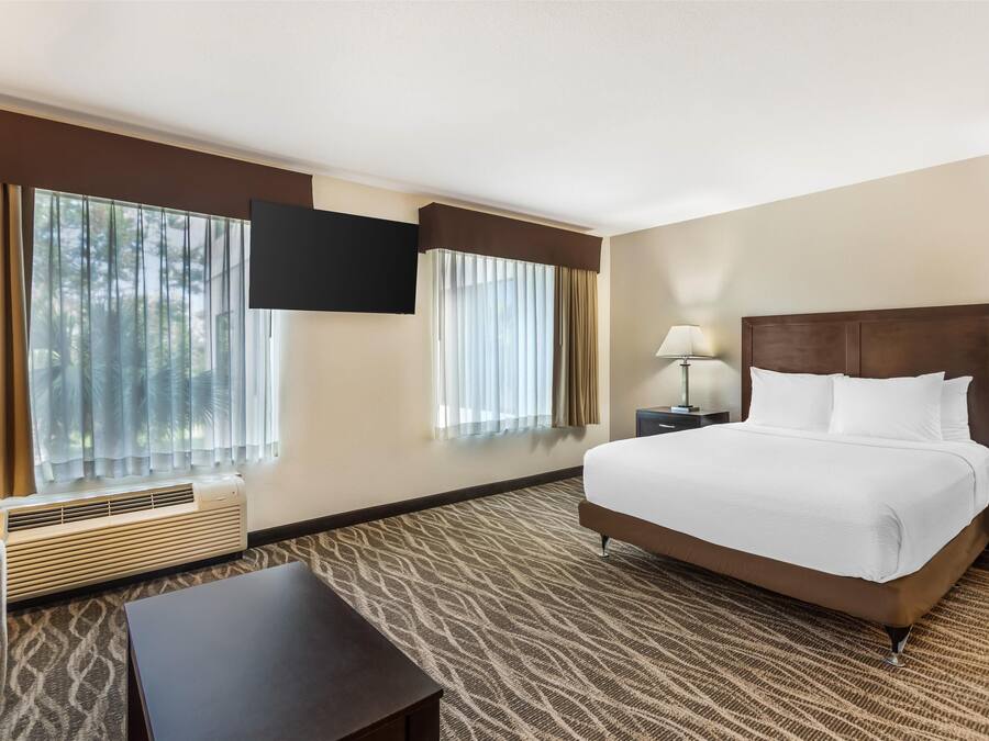 Une chambre d’hôtel avec un grand lit, un téléviseur à écran plat fixé au mur, un bureau et une chaise.