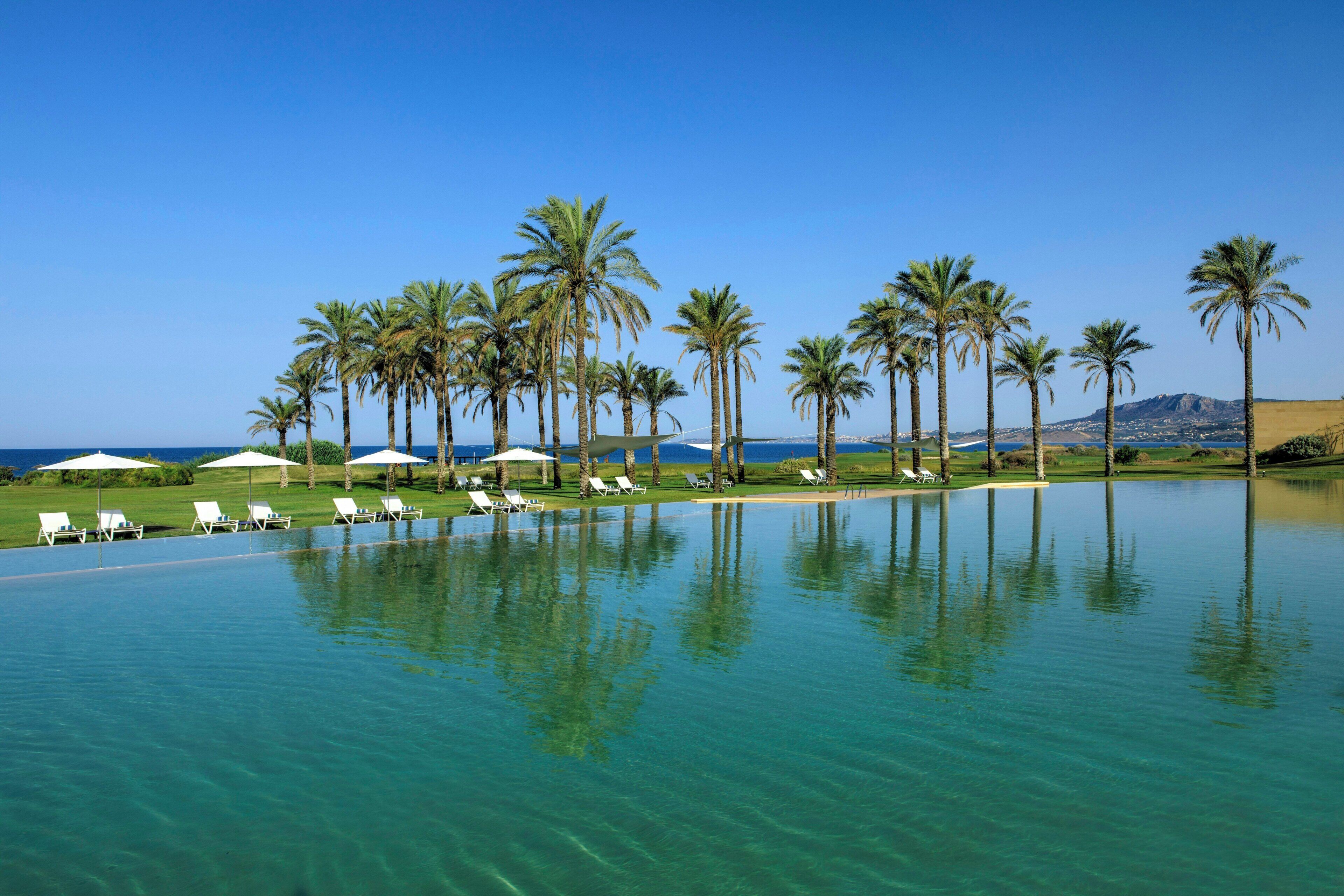 A poolside area with lounge chairs and umbrellas, surrounded by palm trees, under a clear sky.