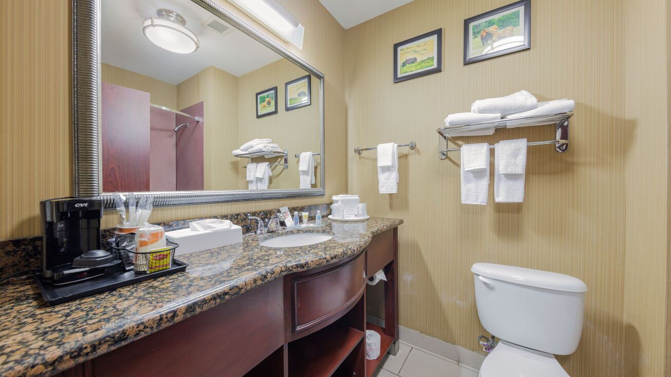 A hotel bathroom with a granite countertop sink, a coffee maker, a towel rack, and a toilet.