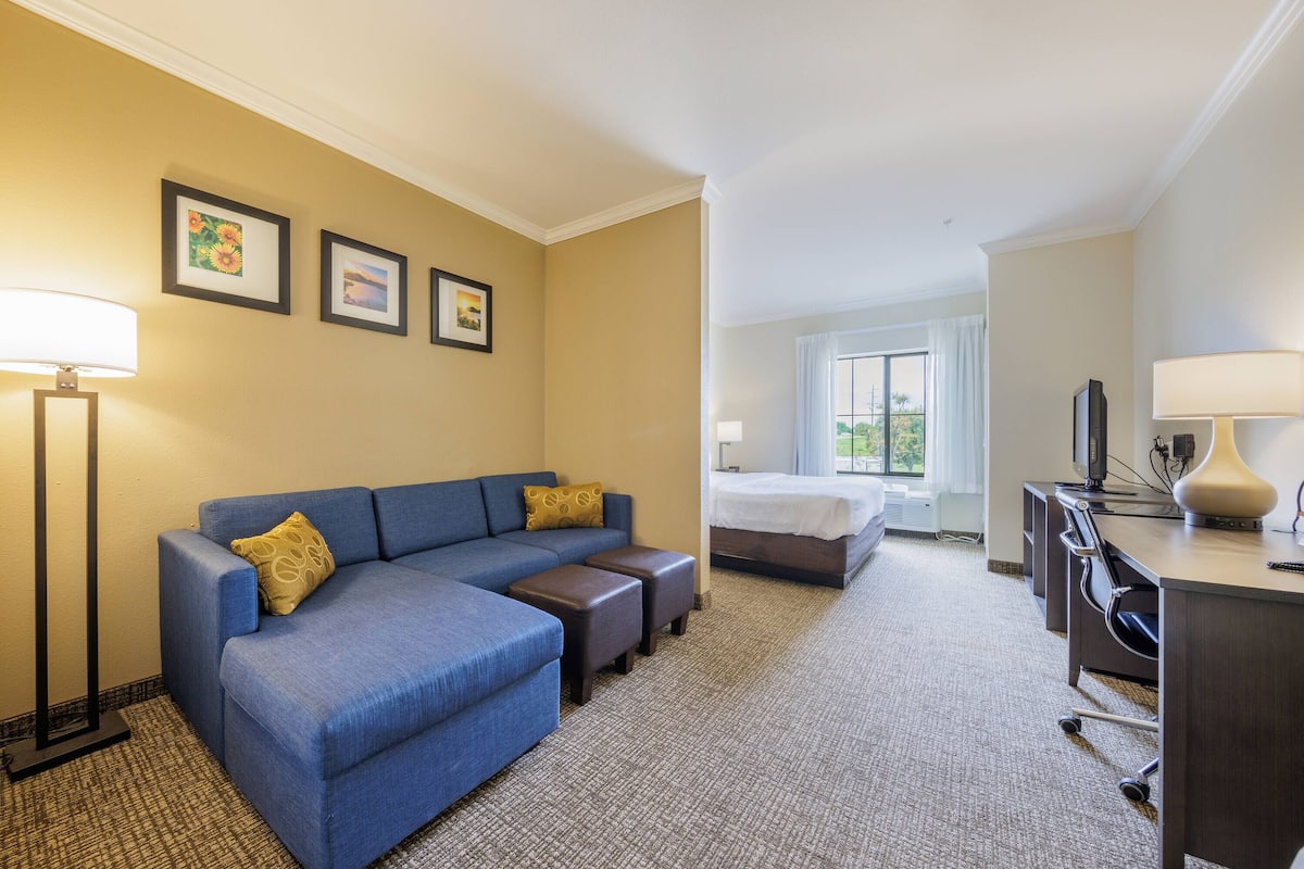Una habitación de hotel con un sofá azul, una cama, un escritorio y una lámpara.