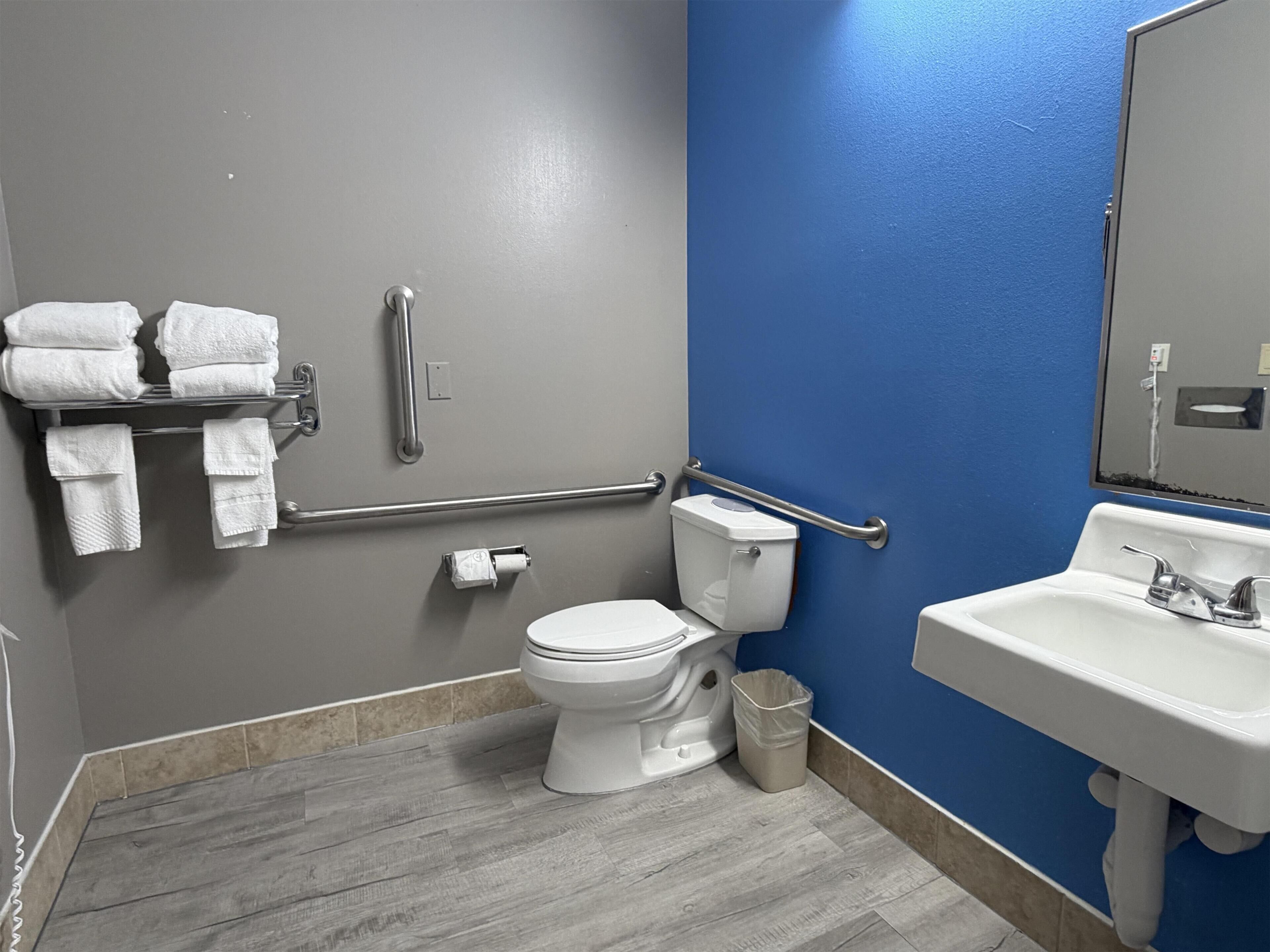 A bathroom with a toilet, a sink, a mirror, and a handrail.