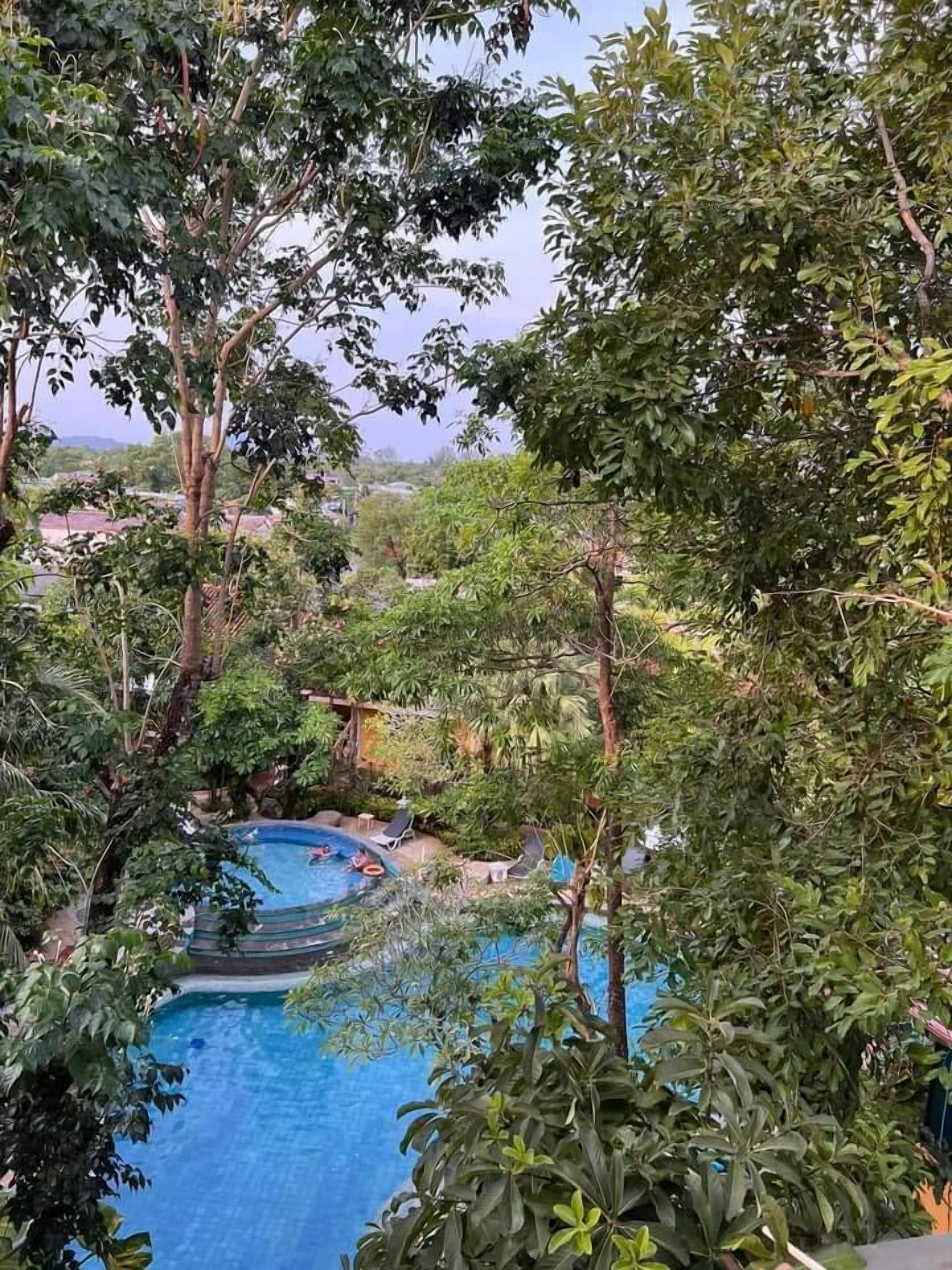 A swimming pool surrounded by lush greenery, with a view of a residential area in the background.