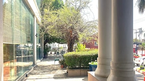 Um edifício com grandes janelas de vidro, um calçadão e uma árvore no centro.