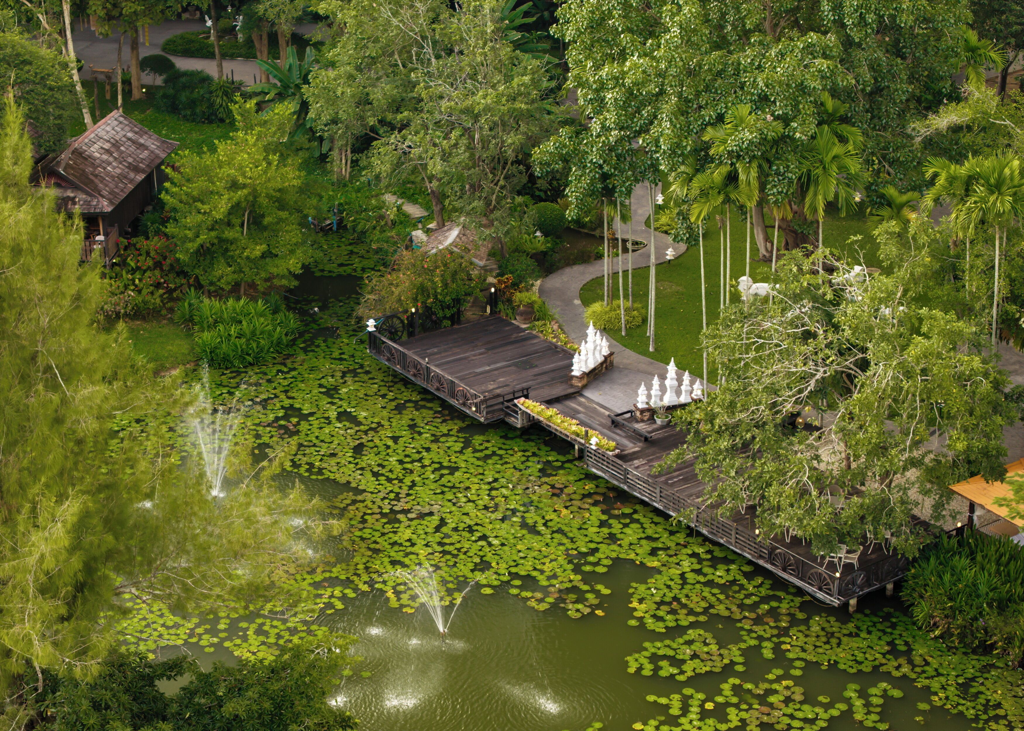 Een houten terras boven een vijver met waterlelies, omringd door weelderig groen en bomen.