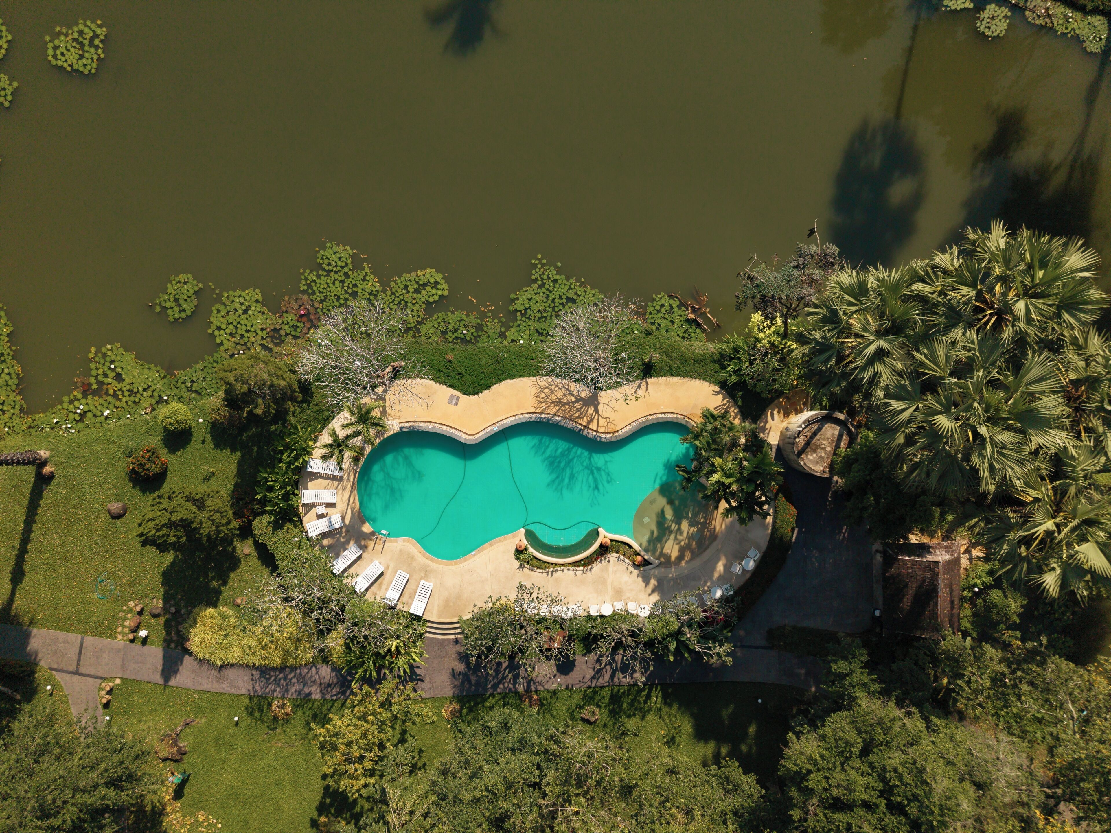 สระว่ายน้ำกลางแจ้ง เปิด 7:00 น. ถึง 19:00 น., ร่มริมสระว่ายน้ำ