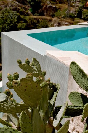 A cactus plant near a pool. -  Hospedería Bajo el Cejo  (Alhama de Murcia)