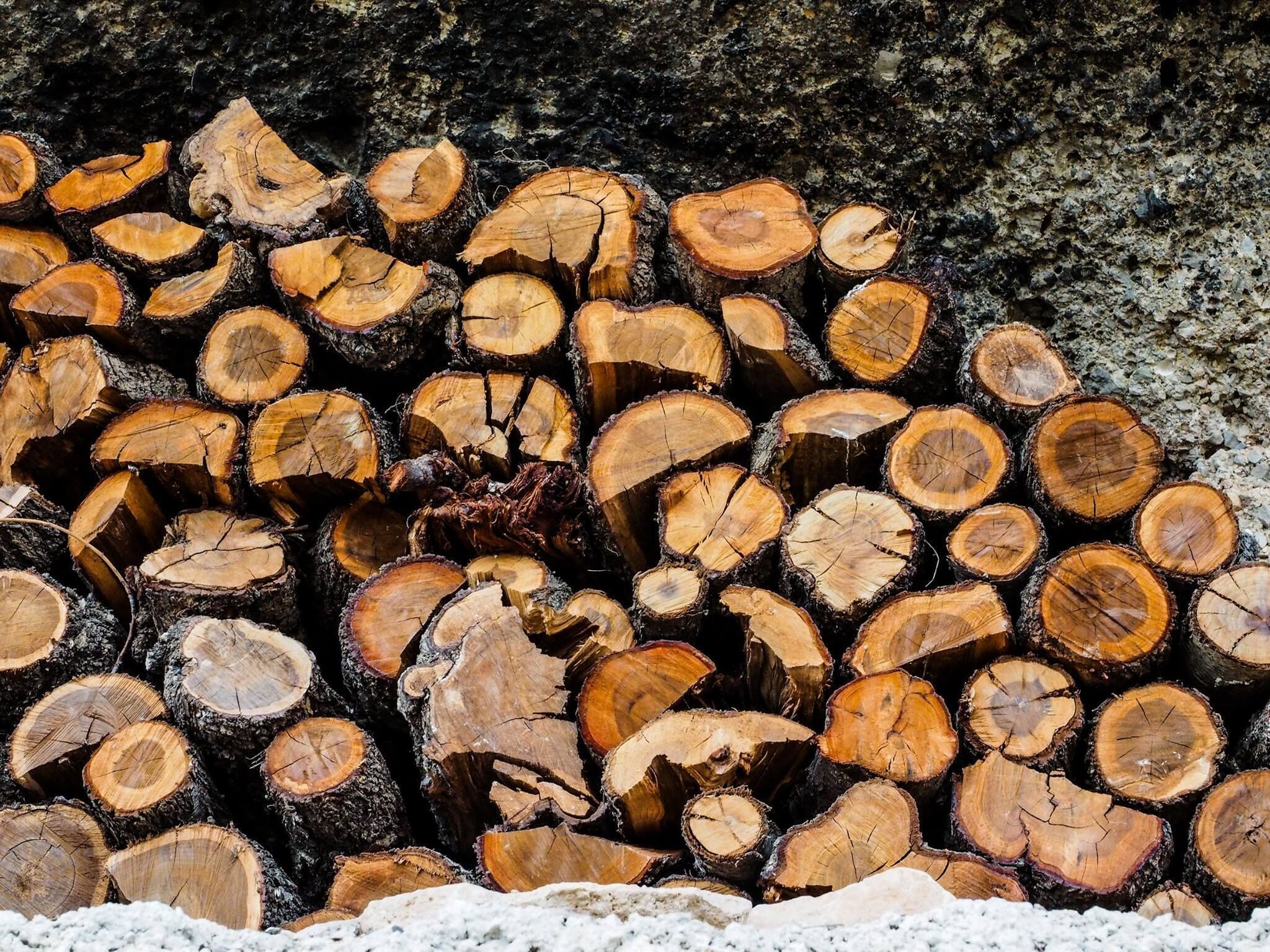 A stack of cut logs.