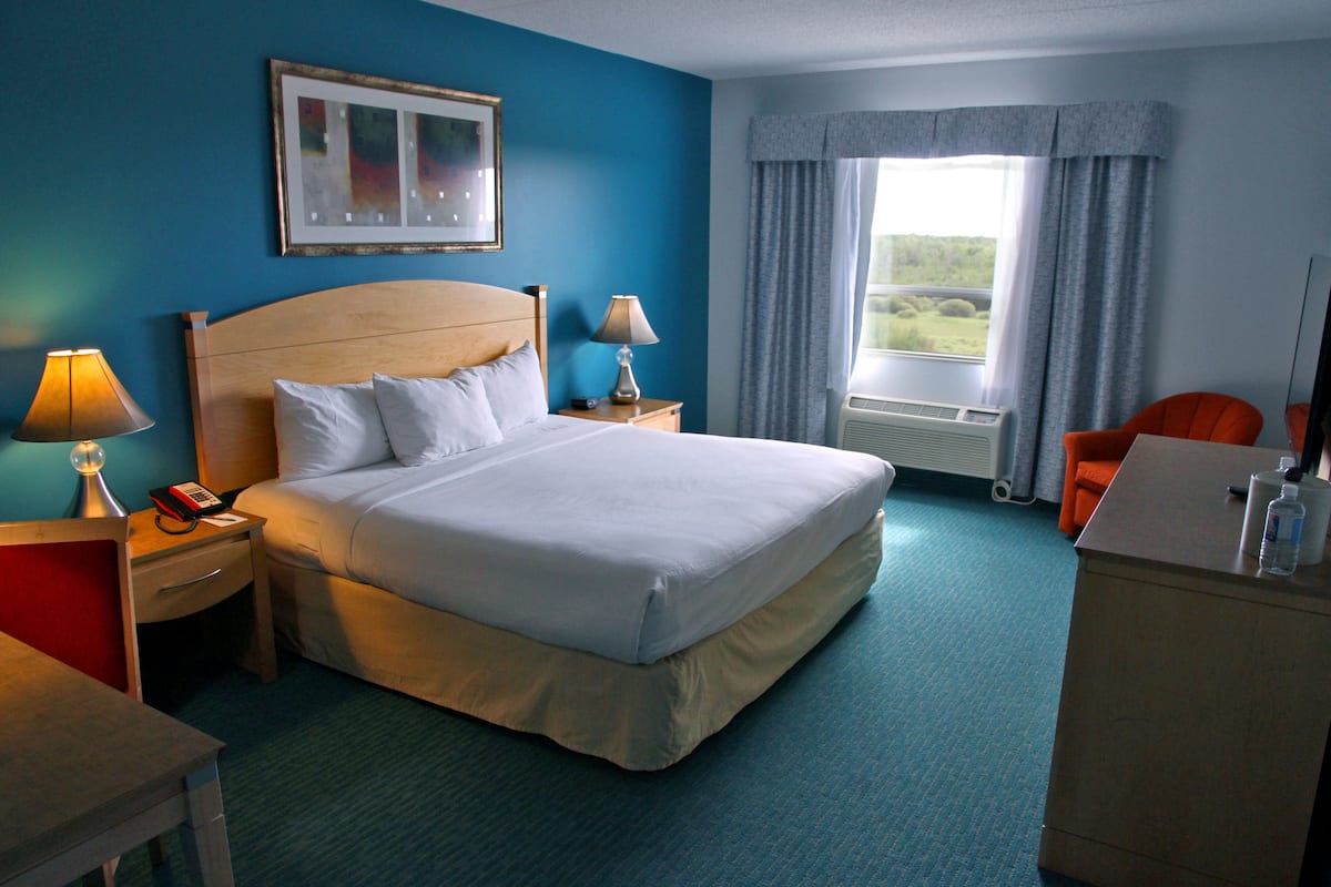 Deluxe Room, 1 King Bed, Non Smoking, Refrigerator