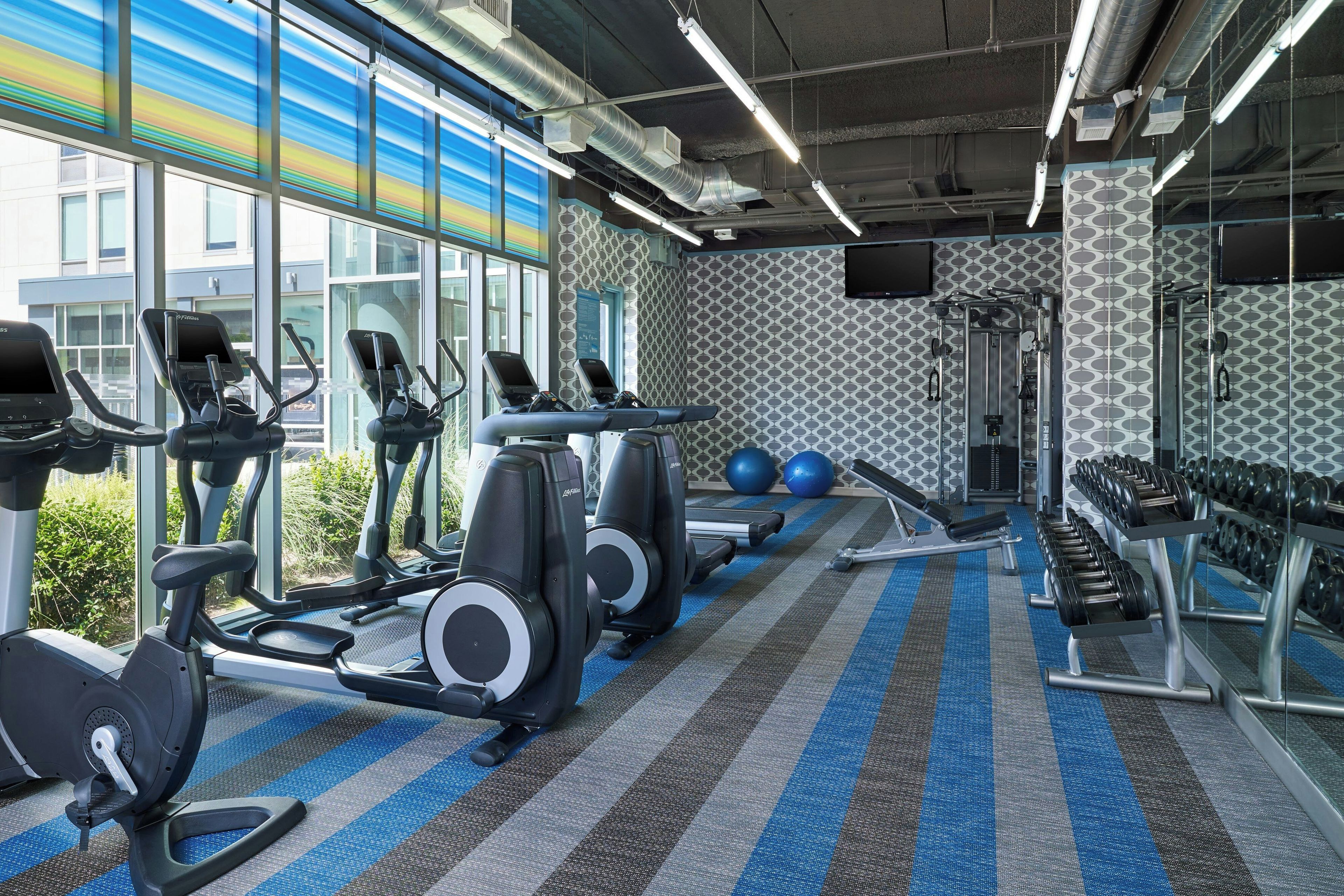 A gym with treadmills, elliptical machines, a weight bench, and free weights.