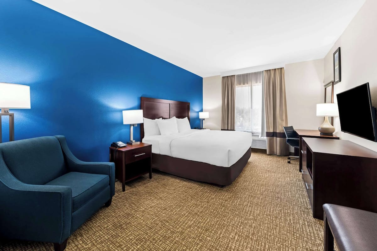 1 bedroom, Egyptian cotton sheets, premium bedding, down comforters