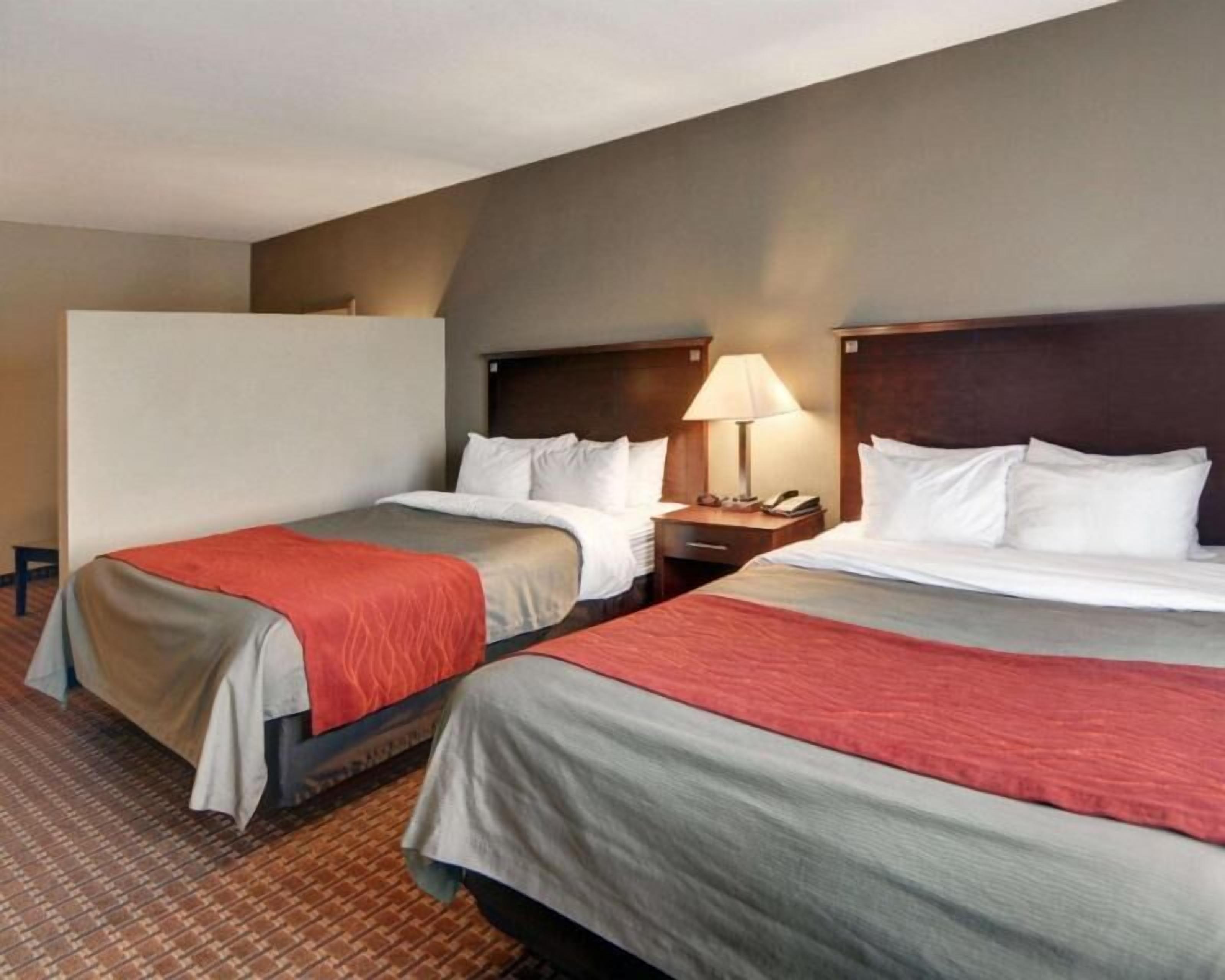 1 bedroom, Egyptian cotton sheets, premium bedding, down comforters