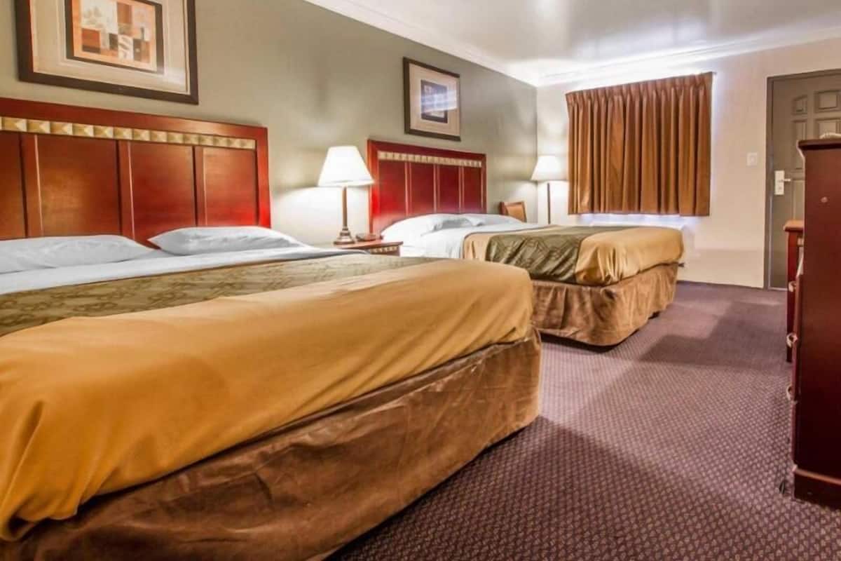 Iron/ironing board, free WiFi, bed sheets