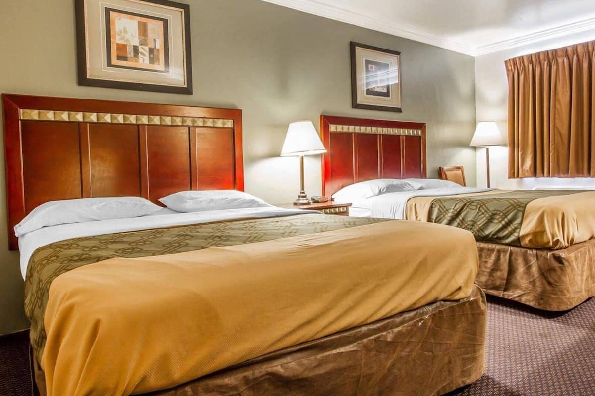 Iron/ironing board, free WiFi, bed sheets