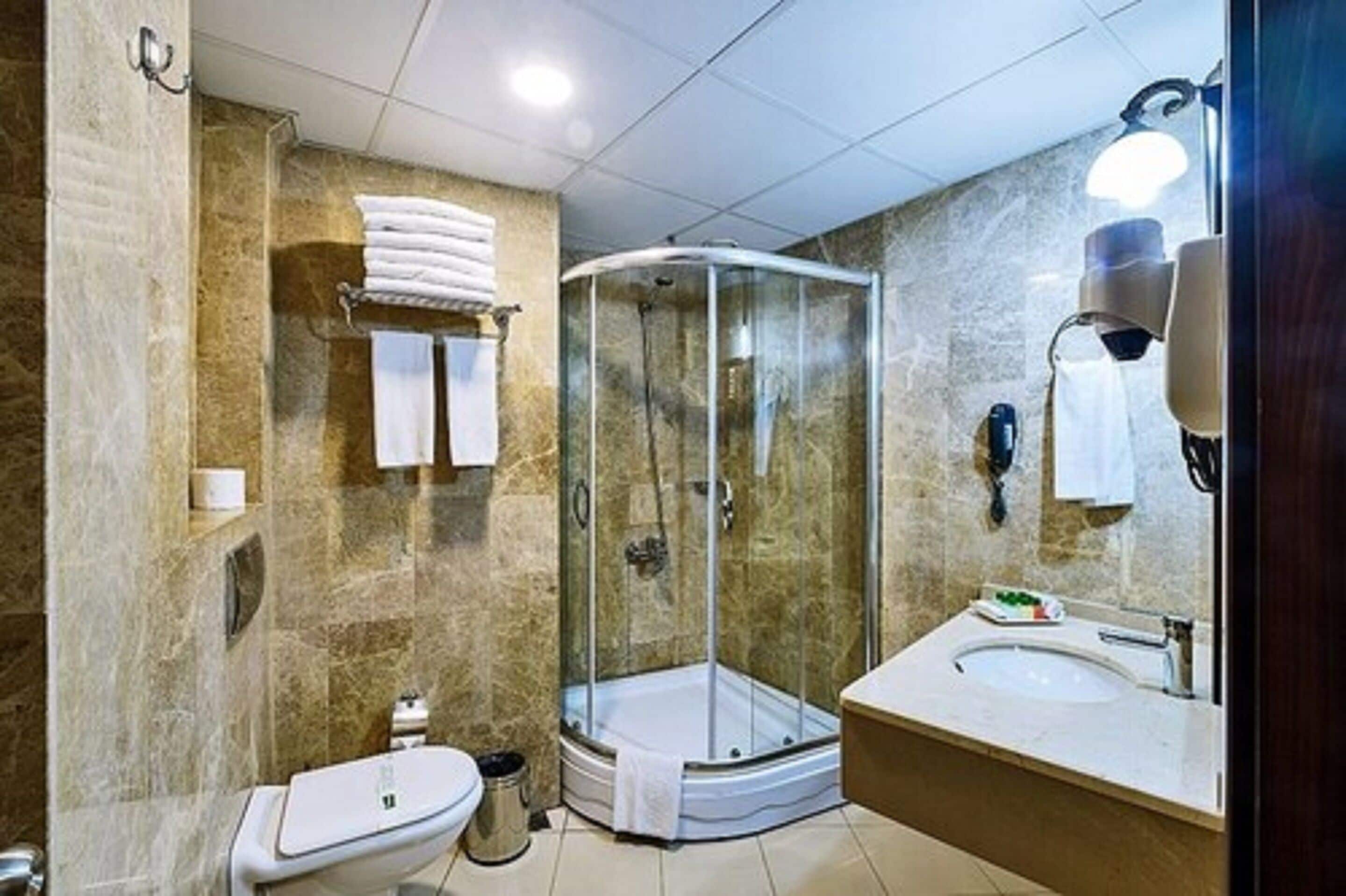 A modern bathroom with a glass-enclosed shower, a sink, and a toilet.