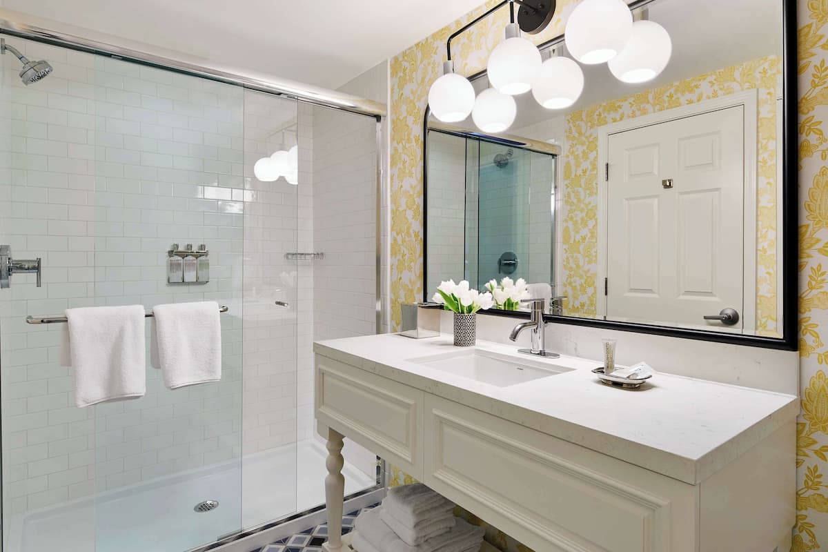 combined shower/bathtub, free toiletries, hair dryer, towels